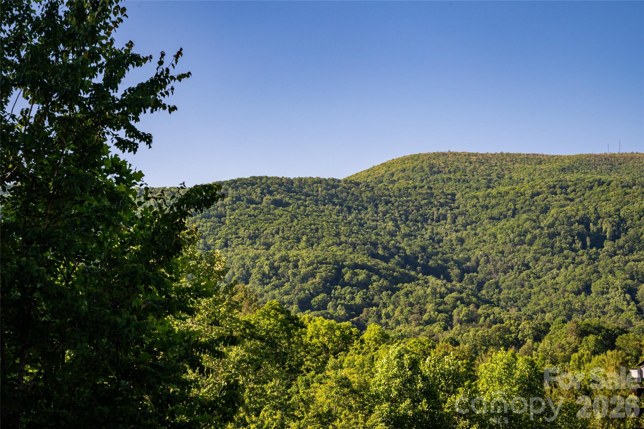 46 Nuthatch Court Fairview NC 28730