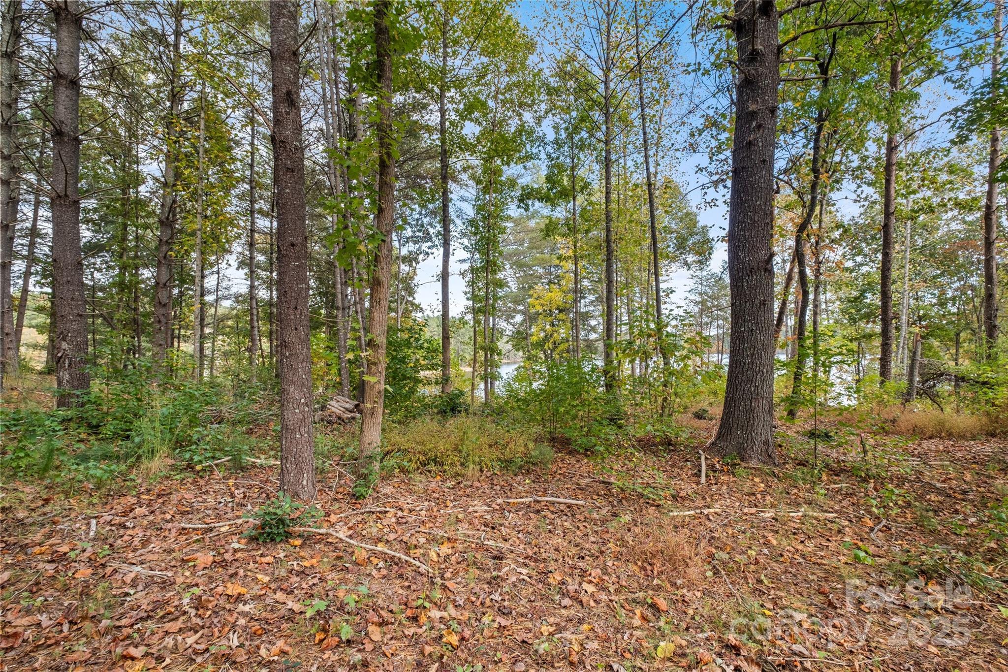 0000 Scenic Lane Granite Falls NC 28630