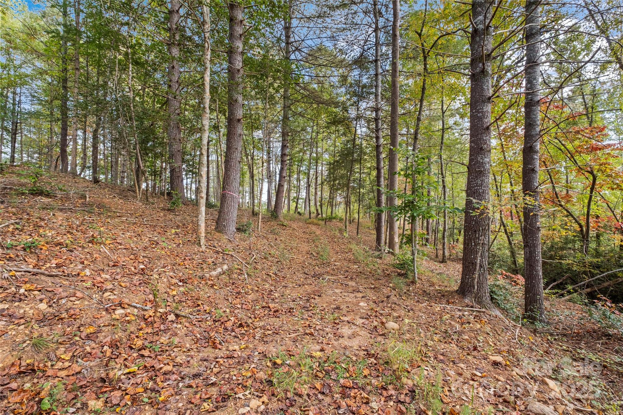0000 Scenic Lane Granite Falls NC 28630