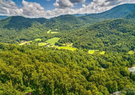 77 Ox Bow Crossing Weaverville NC 28787