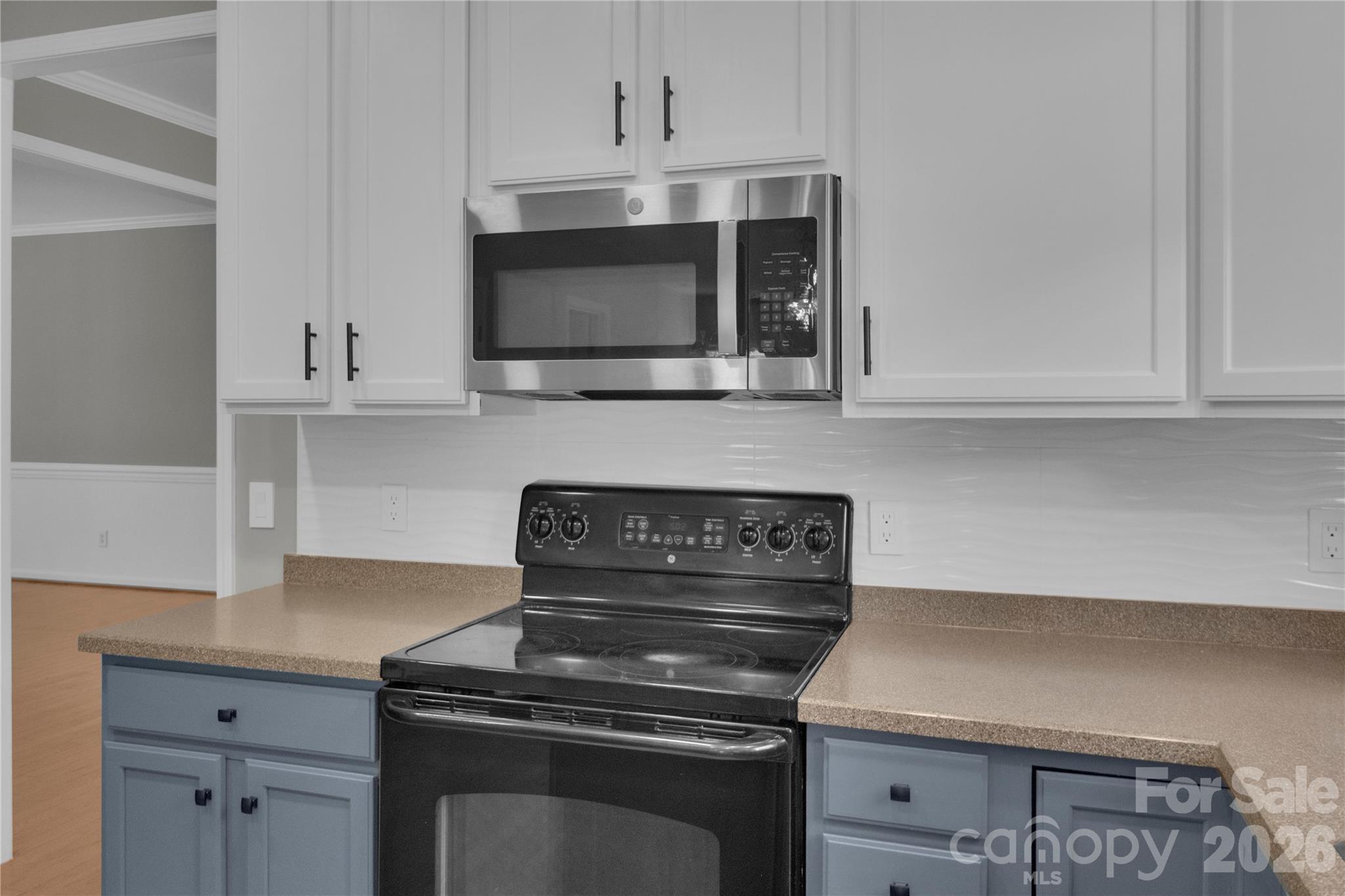 1007 Butterburr Drive Matthews NC 28104