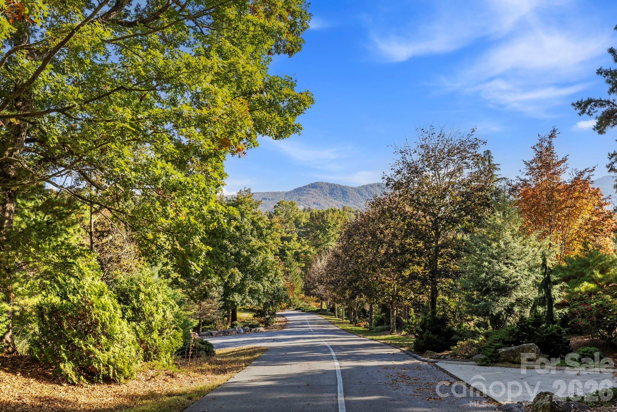 31 Ridge Drive S Hendersonville NC 28739