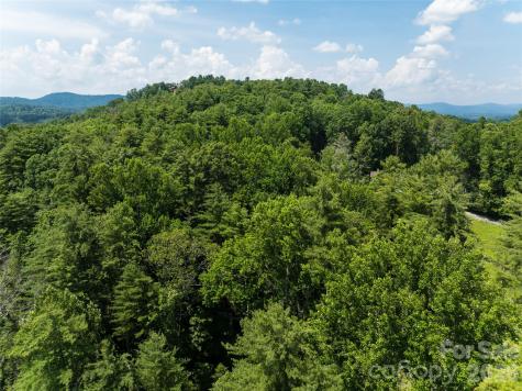 34 Oak Gate Drive Hendersonville NC 28739