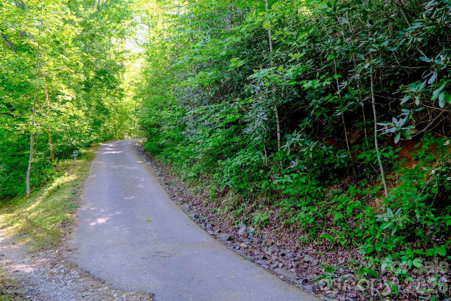 3815 Bat Cave Road Old Fort NC 28762