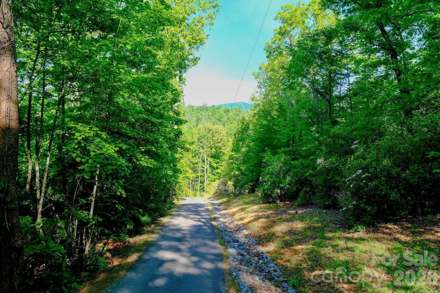 3815 Bat Cave Road Old Fort NC 28762