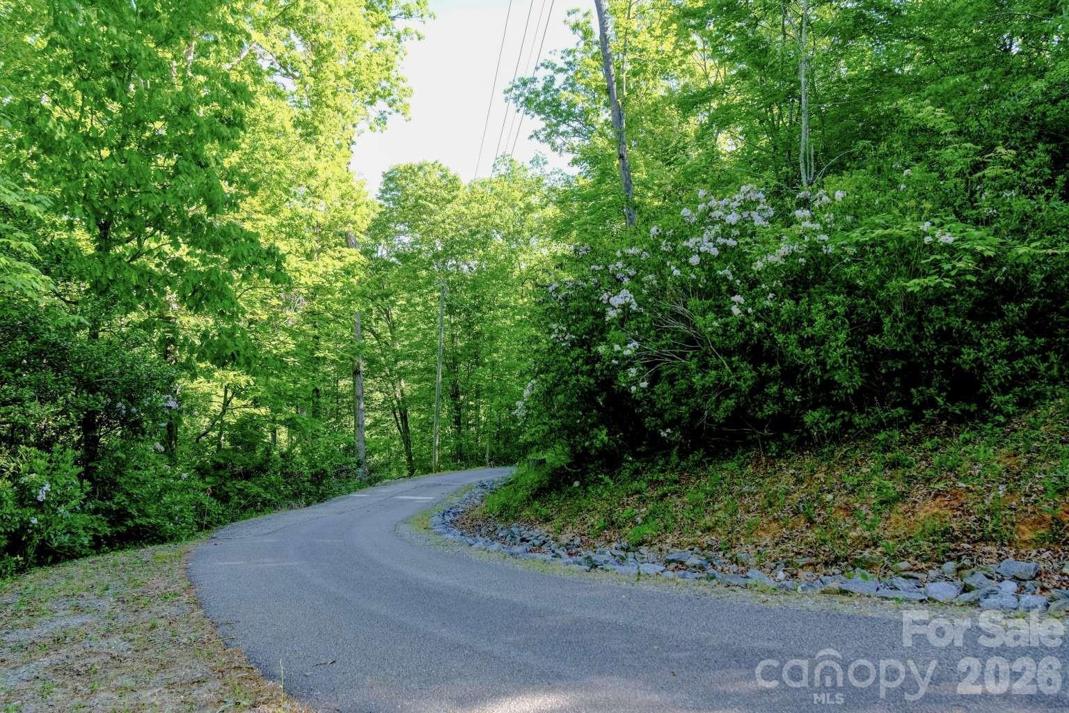 3815 Bat Cave Road Old Fort NC 28762