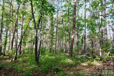 3815 Bat Cave Road Old Fort NC 28762