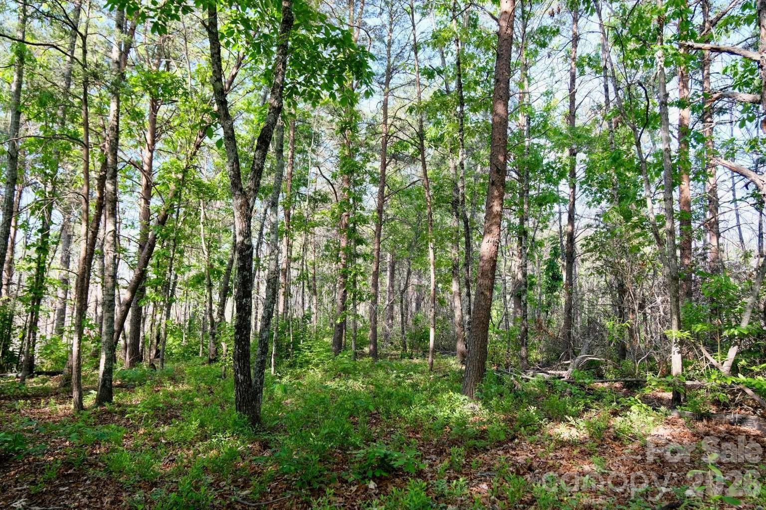 3815 Bat Cave Road Old Fort NC 28762