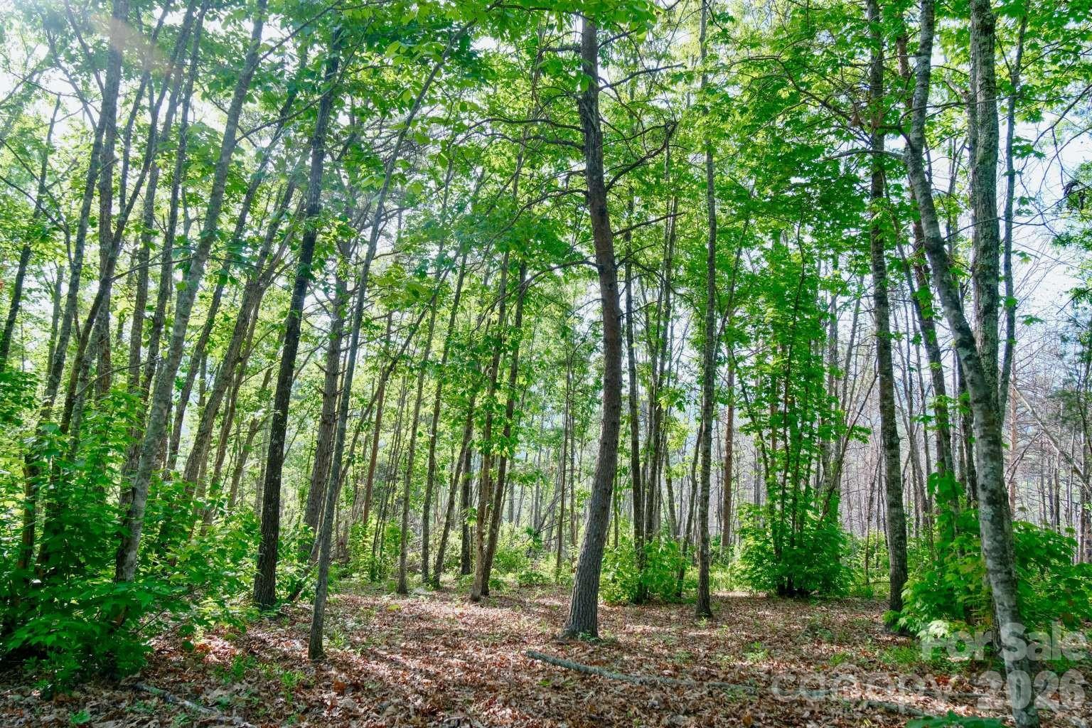 3815 Bat Cave Road Old Fort NC 28762