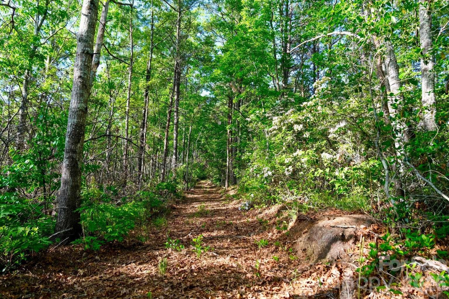 3815 Bat Cave Road Old Fort NC 28762