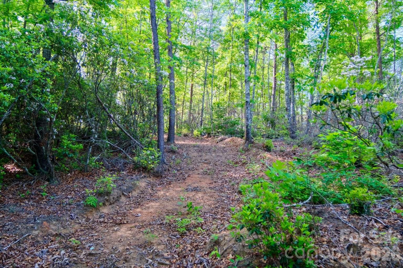 3815 Bat Cave Road Old Fort NC 28762