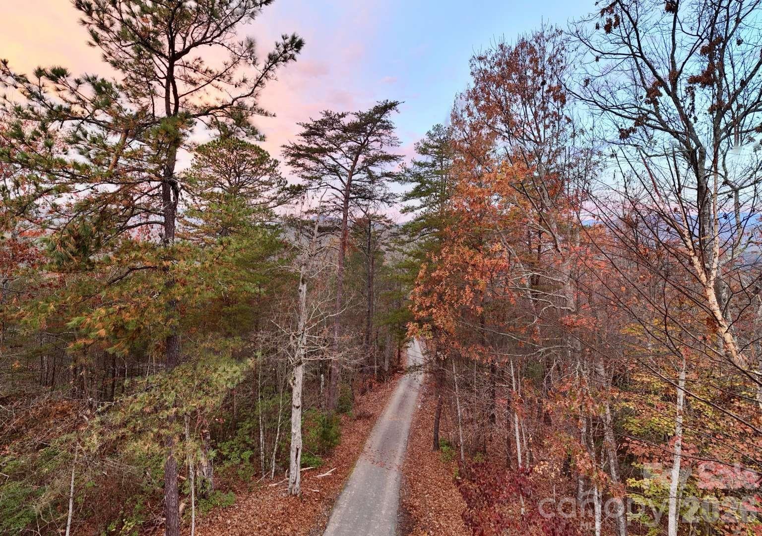 3815 Bat Cave Road Old Fort NC 28762