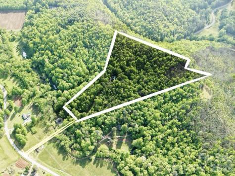 3815 Bat Cave Road Old Fort NC 28762