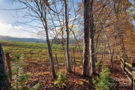 19 Roundtop Ridge Court Candler NC 28715