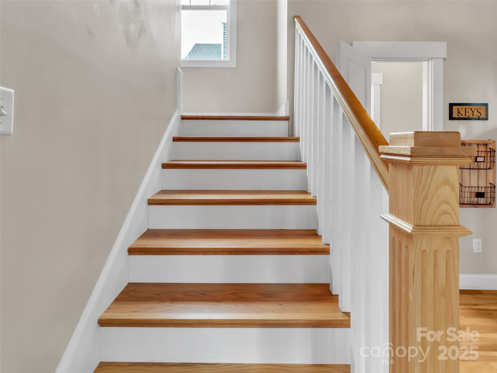 17 Elkmont Terrace Asheville NC 28804