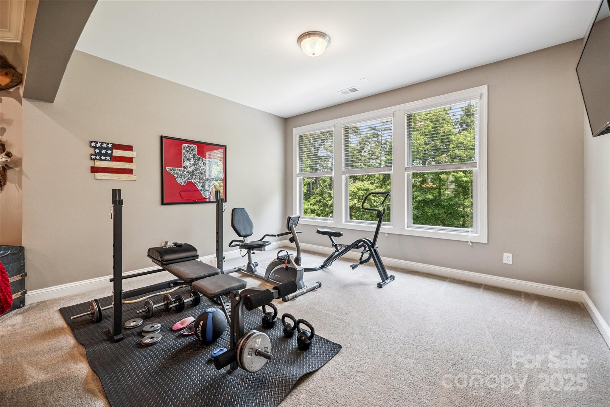 16547 Bastille Drive Charlotte NC 28278