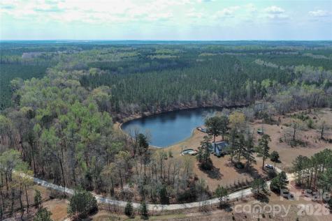 819 Triple Creek Road Mount Croghan SC 29727