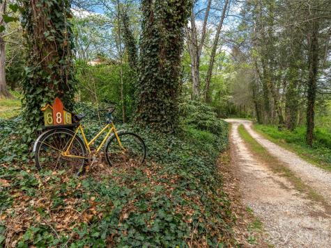 686 New Haw Creek Road Asheville NC 28805