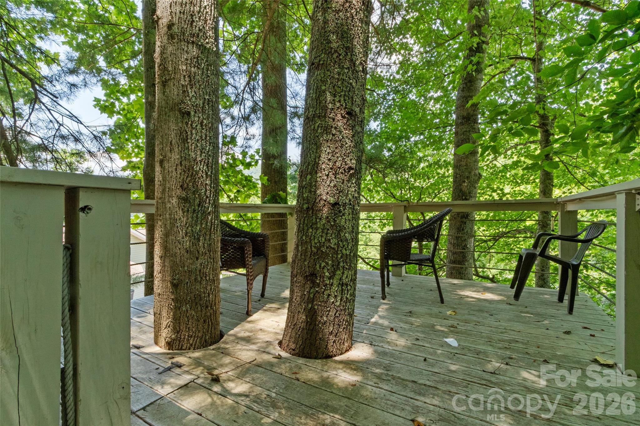 189 Poverty Branch Road Barnardsville NC 28709