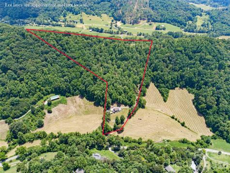 189 Poverty Branch Road Barnardsville NC 28709