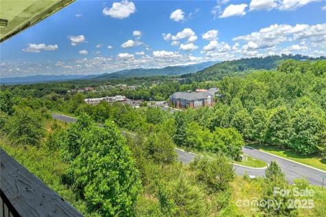 29 Rotunda Circle Asheville NC 28806