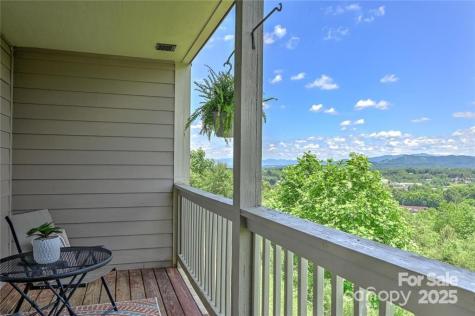 29 Rotunda Circle Asheville NC 28806