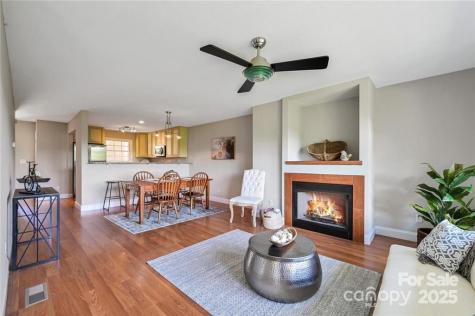29 Rotunda Circle Asheville NC 28806