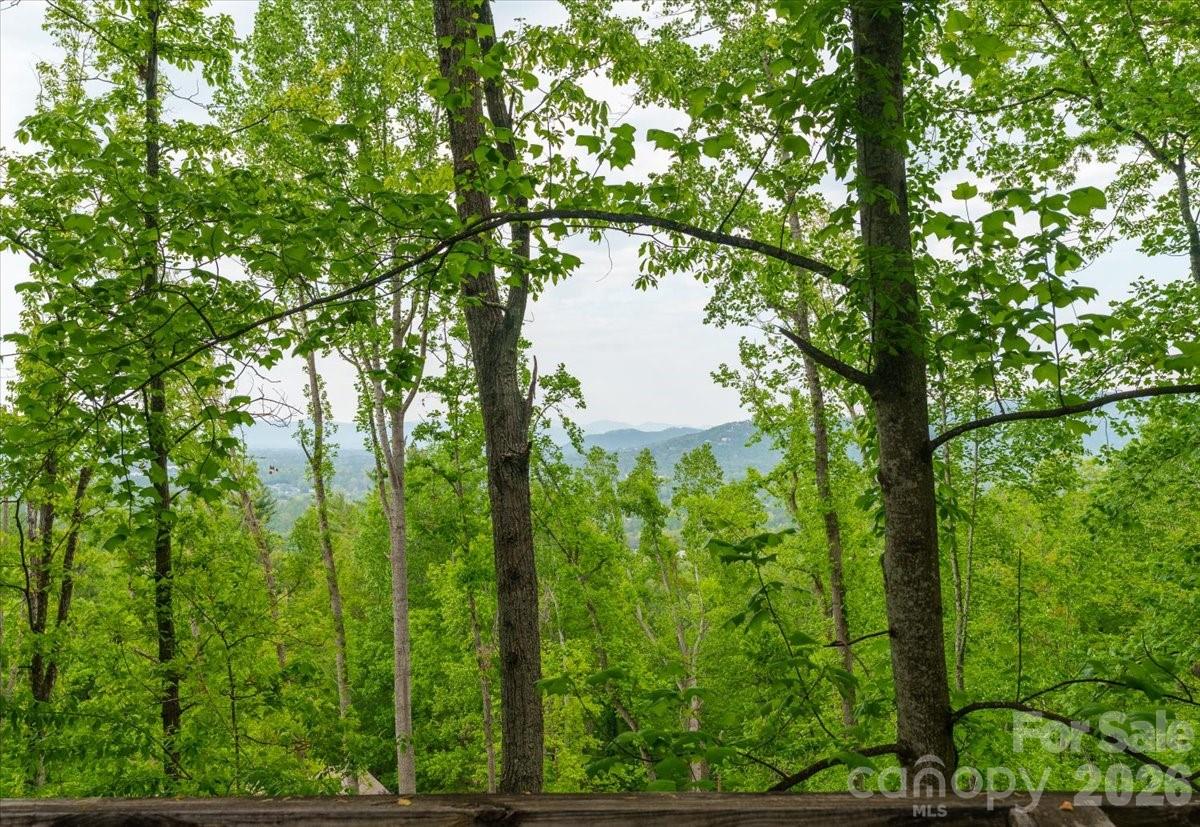 110 Leisure Mountain Road Asheville NC 28804