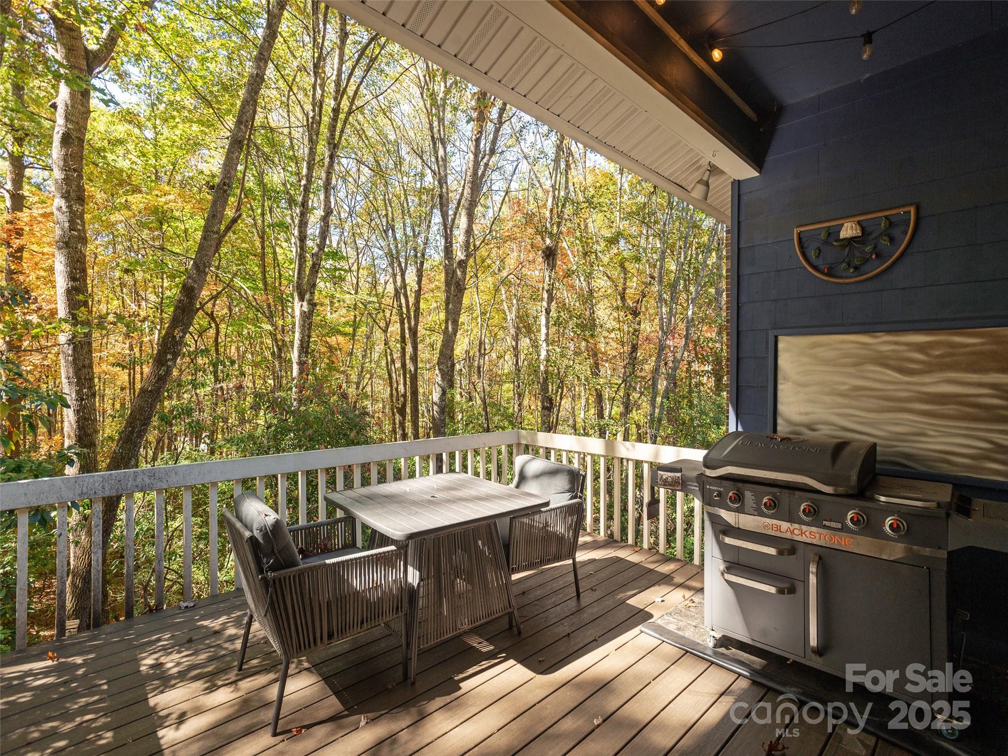 1320 Campbell Drive Pisgah Forest NC 28768