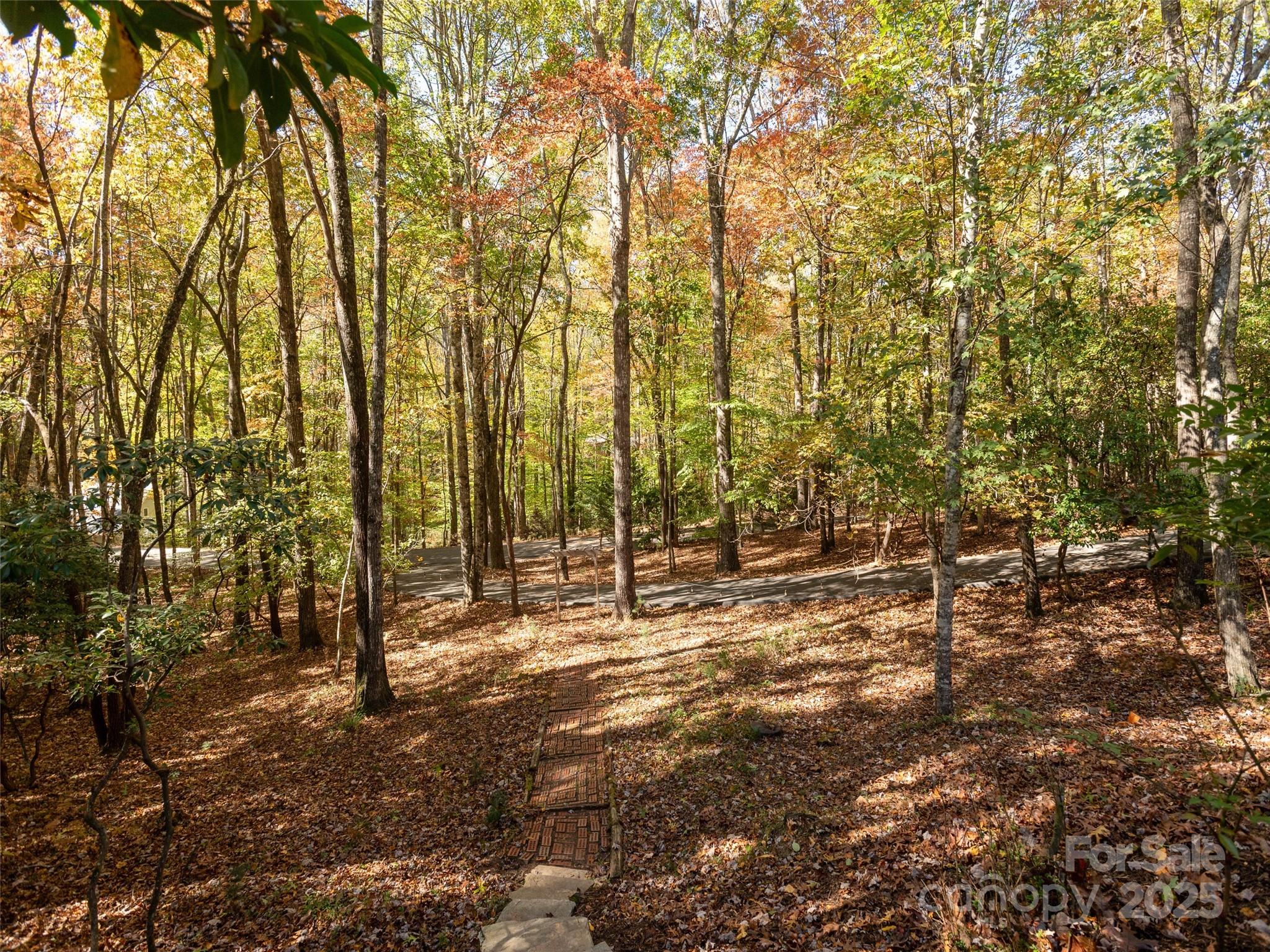 1320 Campbell Drive Pisgah Forest NC 28768