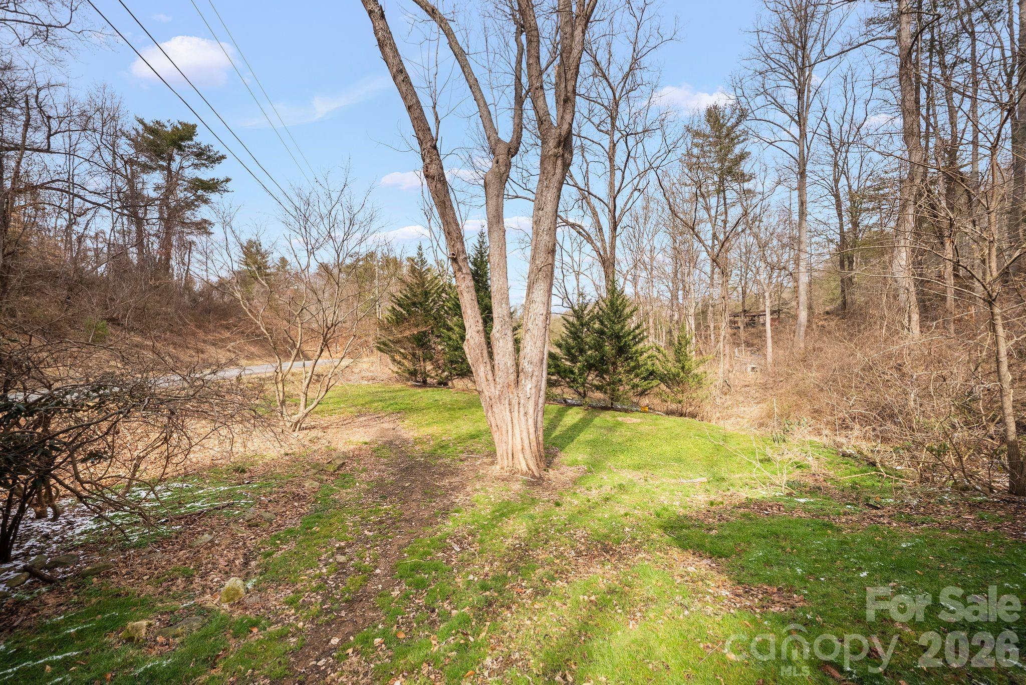 20 Mcdaris Road Weaverville NC 28787