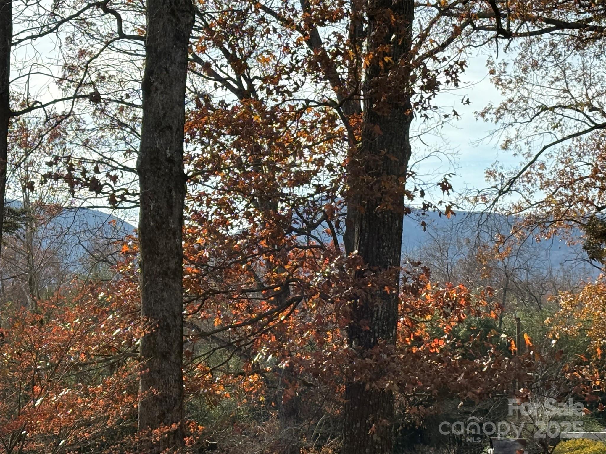 114 Broadway Avenue Tryon NC 28782
