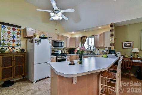 13 Silver Place Black Mountain NC 28711