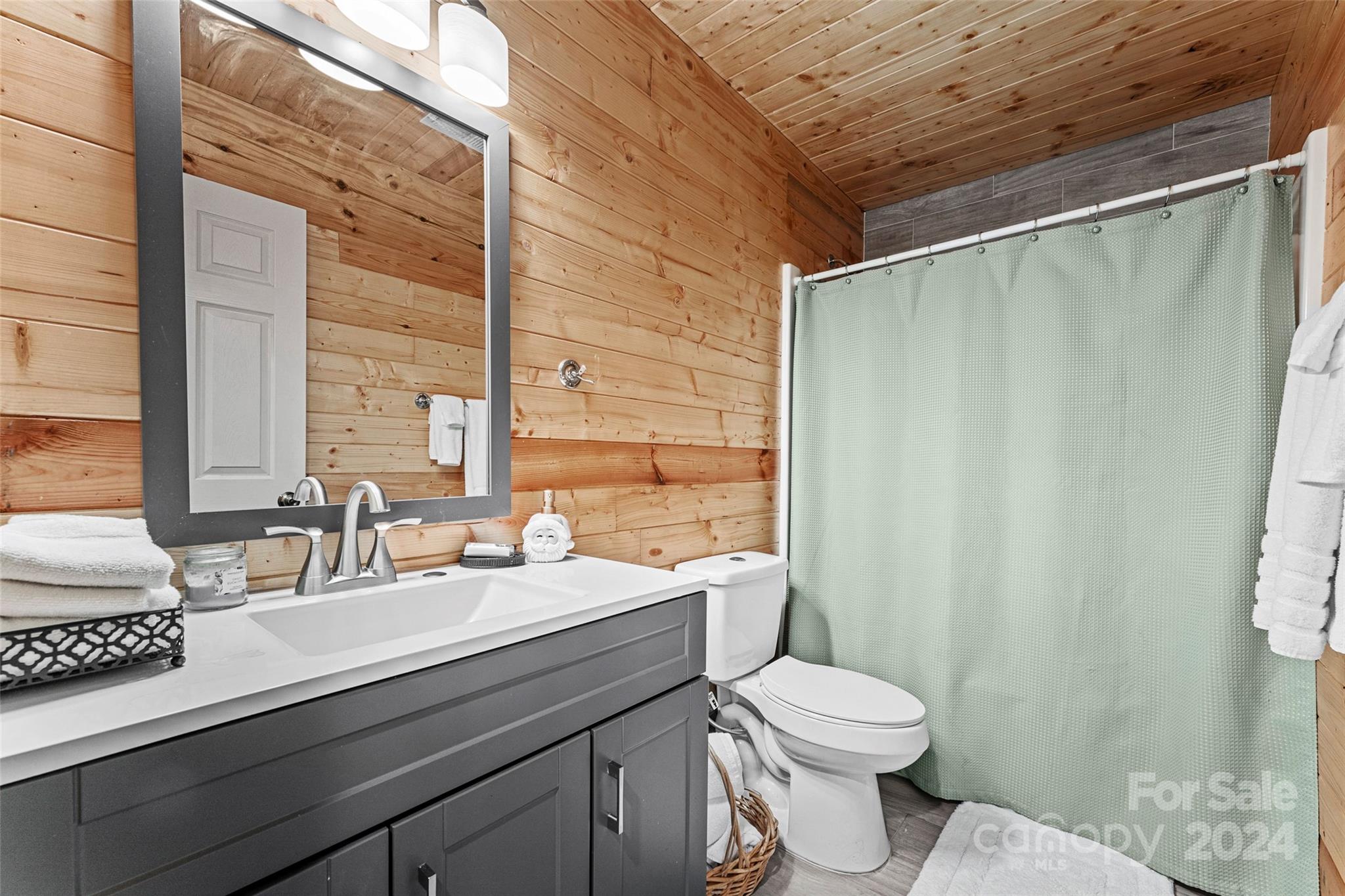 70 Moor Lane Brevard NC 28712