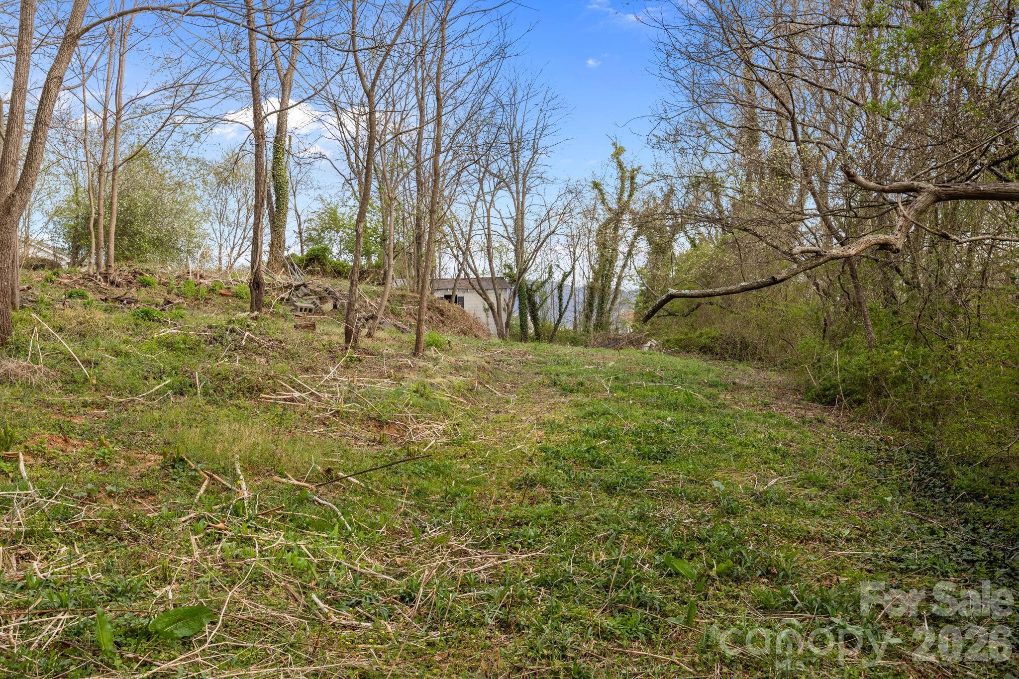 161 Pandora Circle Canton NC 28716