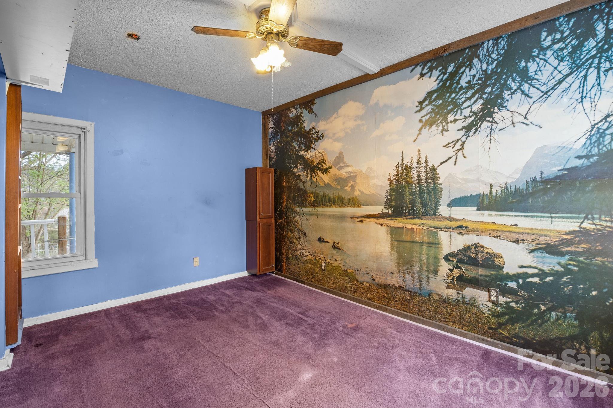 161 Pandora Circle Canton NC 28716