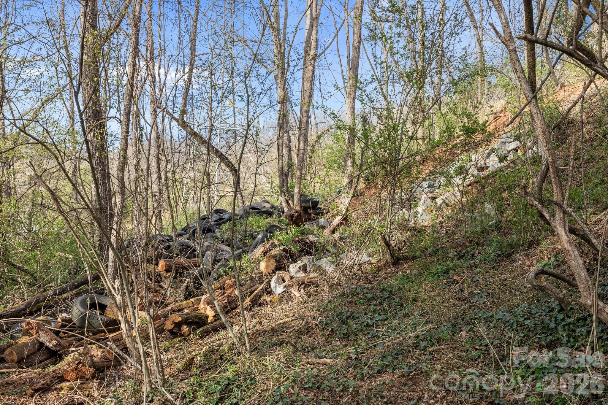 161 Pandora Circle Canton NC 28716