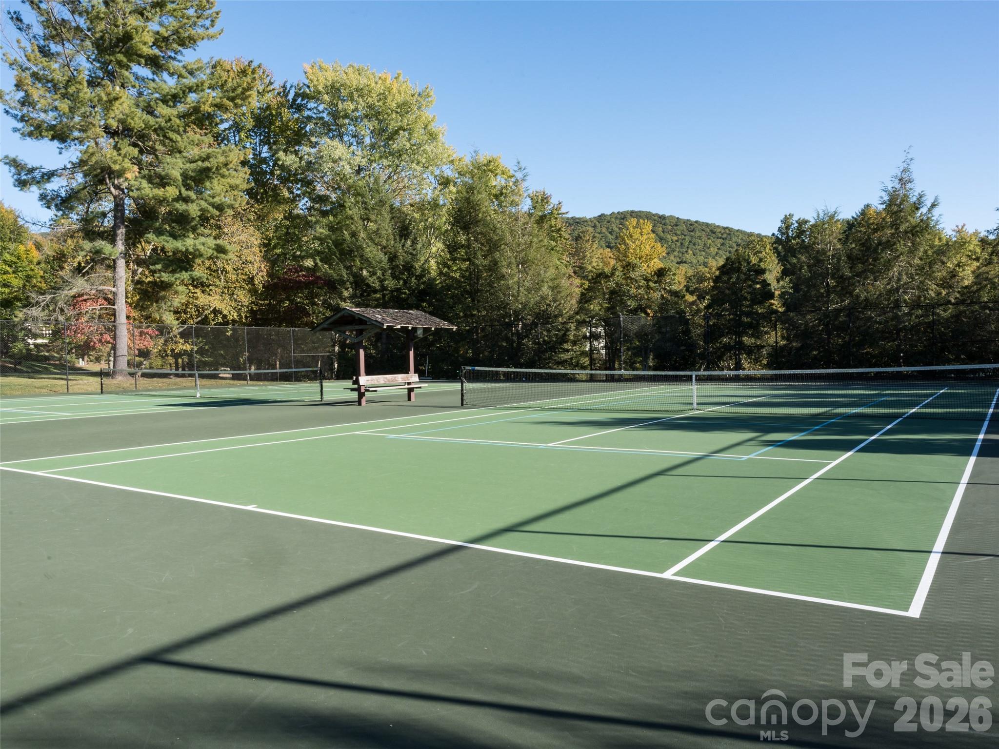 541 Welsh Partridge Circle Biltmore Lake NC 28715