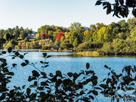 541 Welsh Partridge Circle Biltmore Lake NC 28715