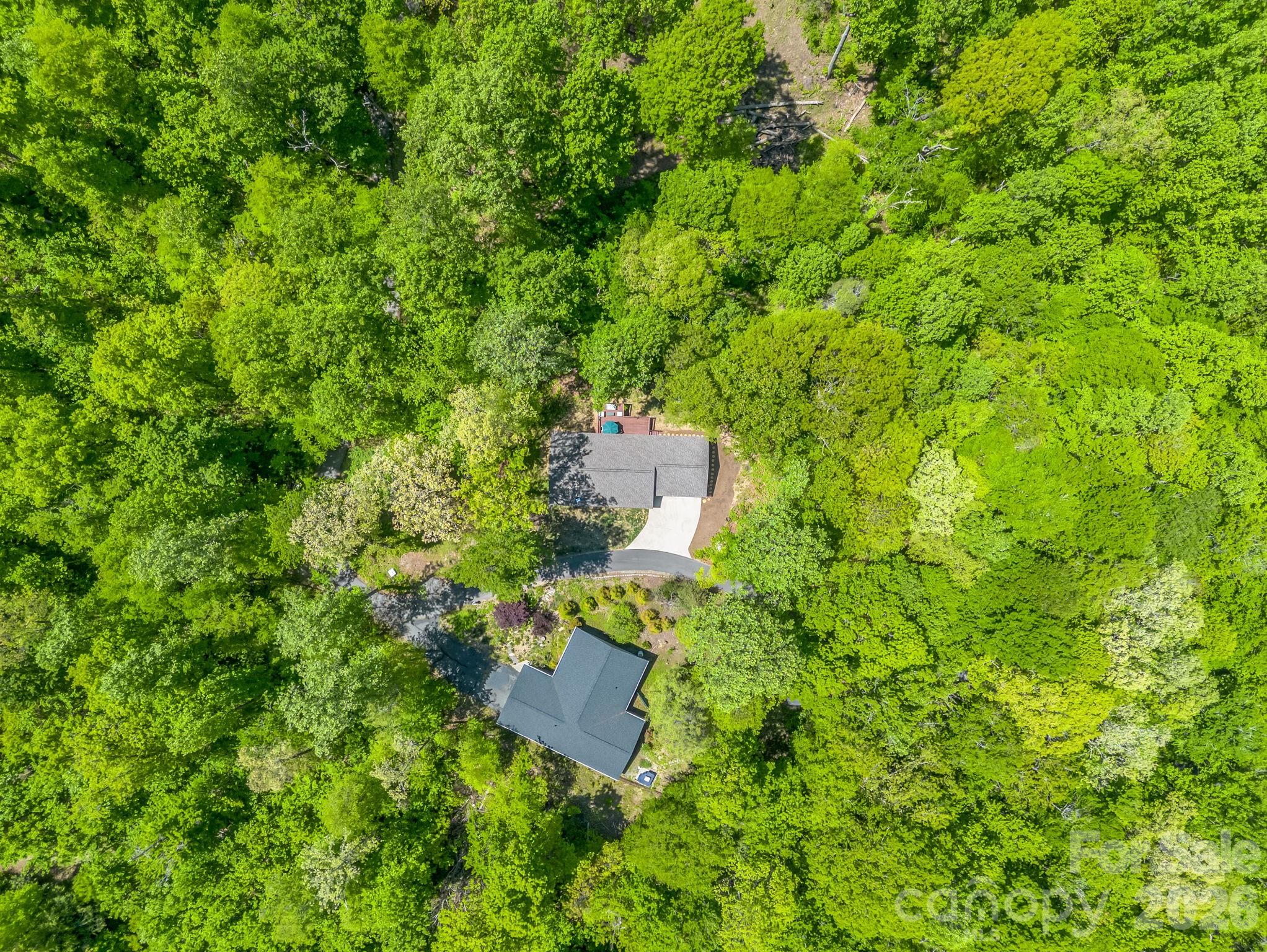 135 Half Moon Lane Brevard NC 28712