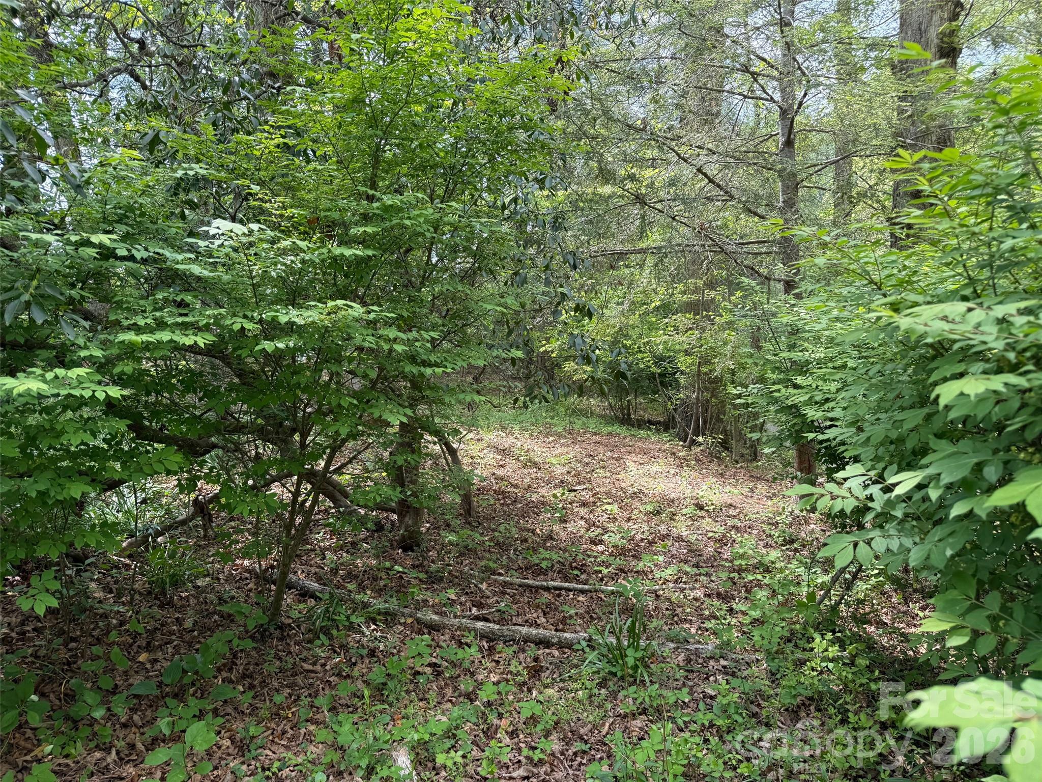 207 Ewbank Road Etowah NC 28729