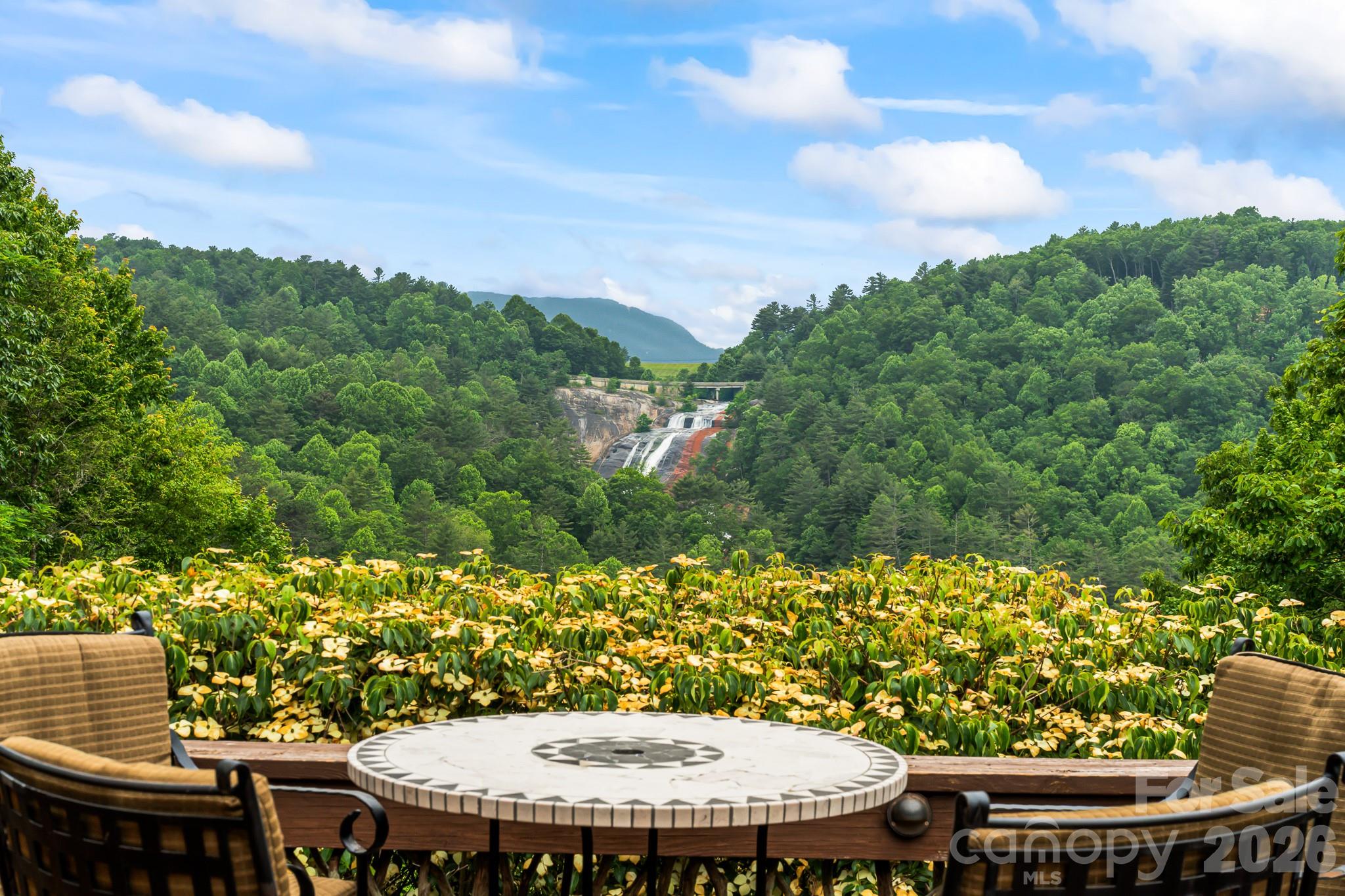 300 Falls View Drive Lake Toxaway NC 28774
