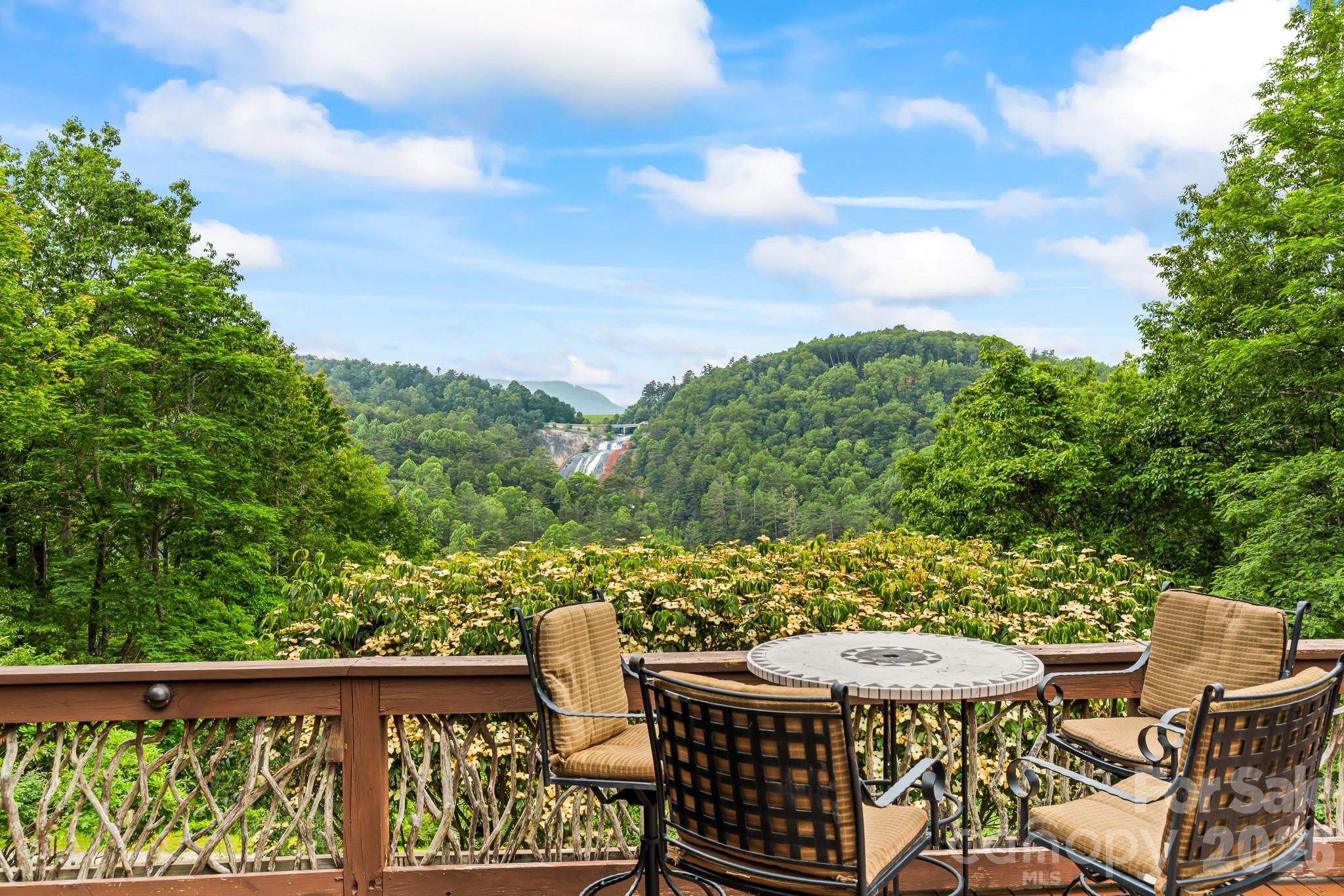 300 Falls View Drive Lake Toxaway NC 28774