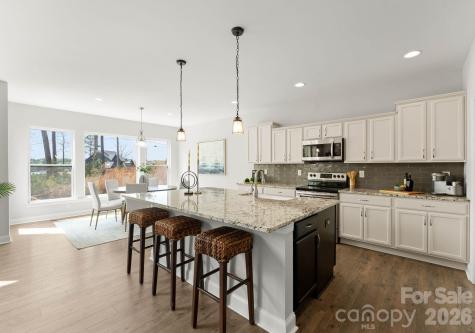 13701 Petworth Court Charlotte NC 28278