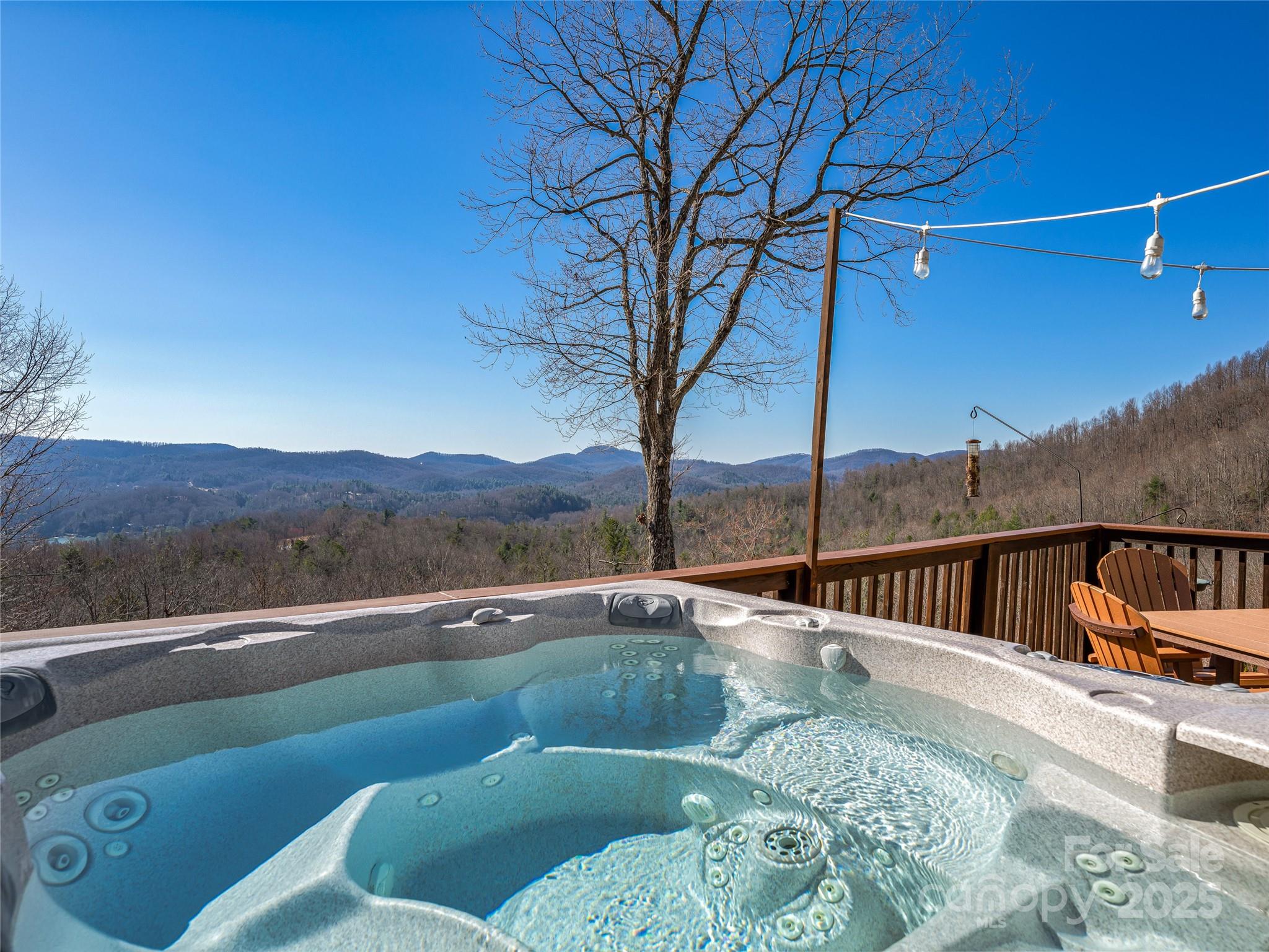 288 Hawks Point Drive Zirconia NC 28790