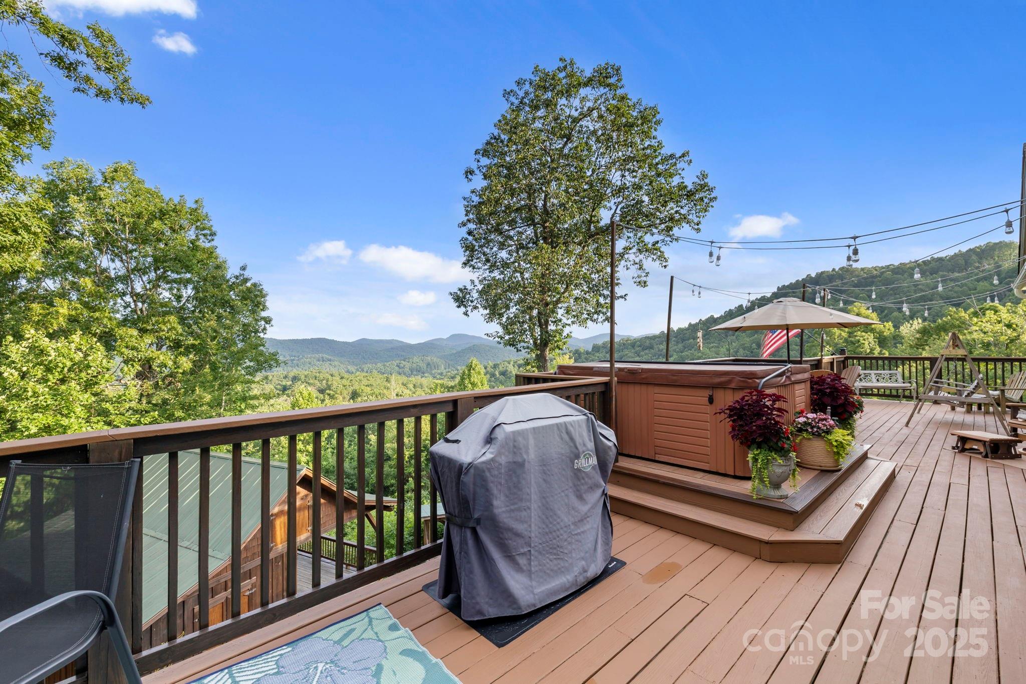 288 Hawks Point Drive Zirconia NC 28790