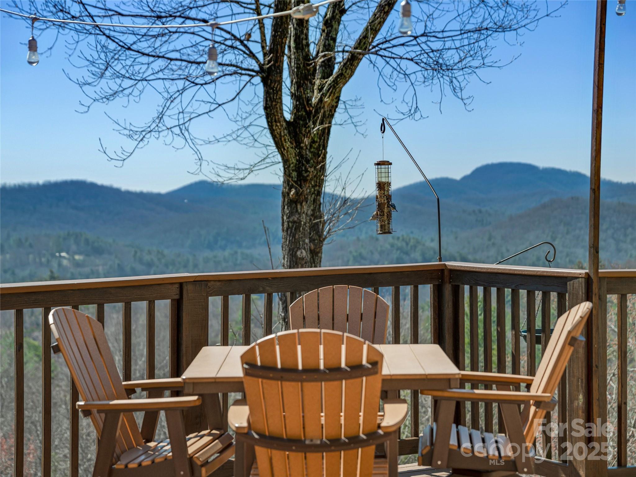 288 Hawks Point Drive Zirconia NC 28790