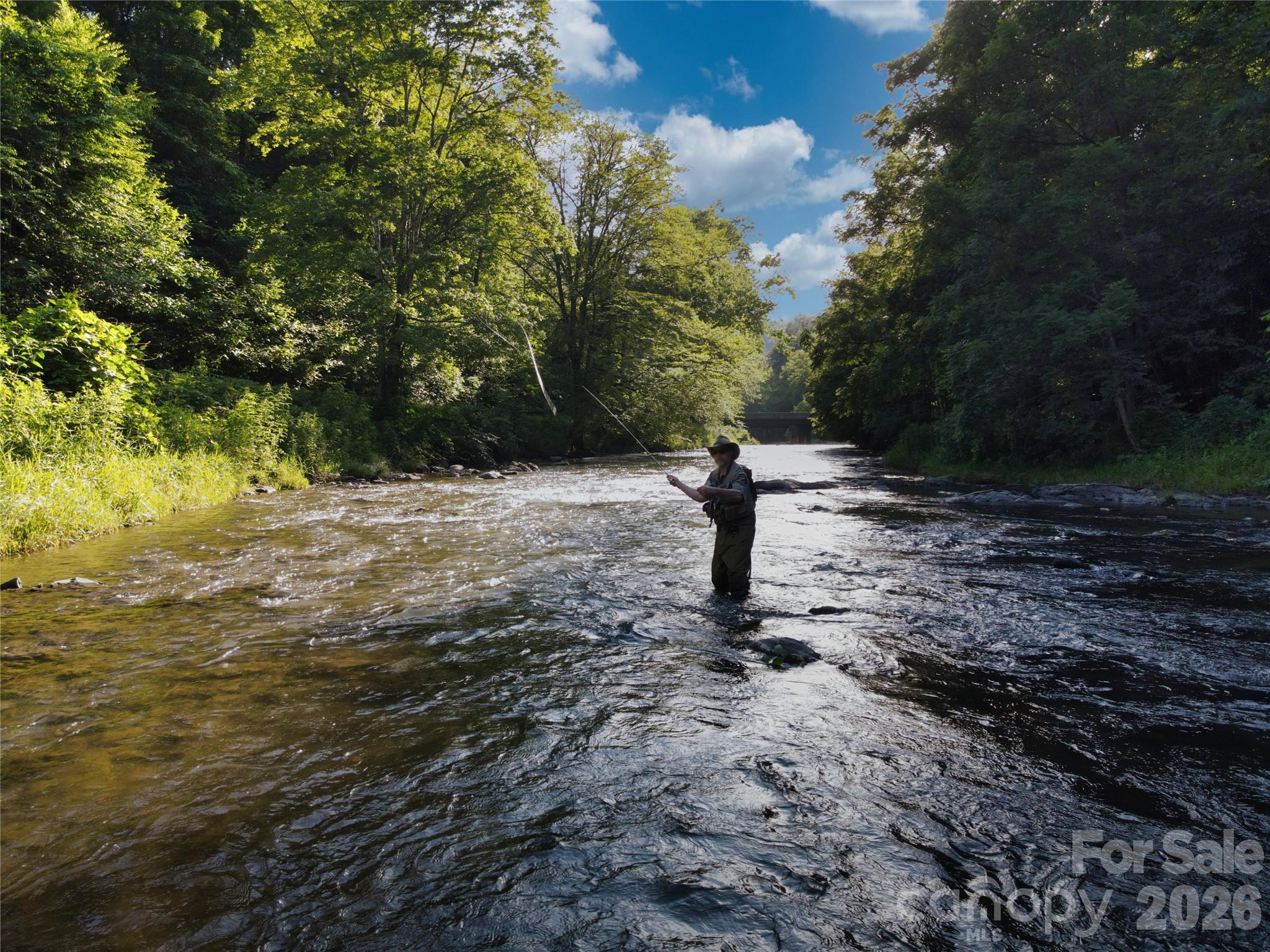 48 Back River Trail Marshall NC 28753