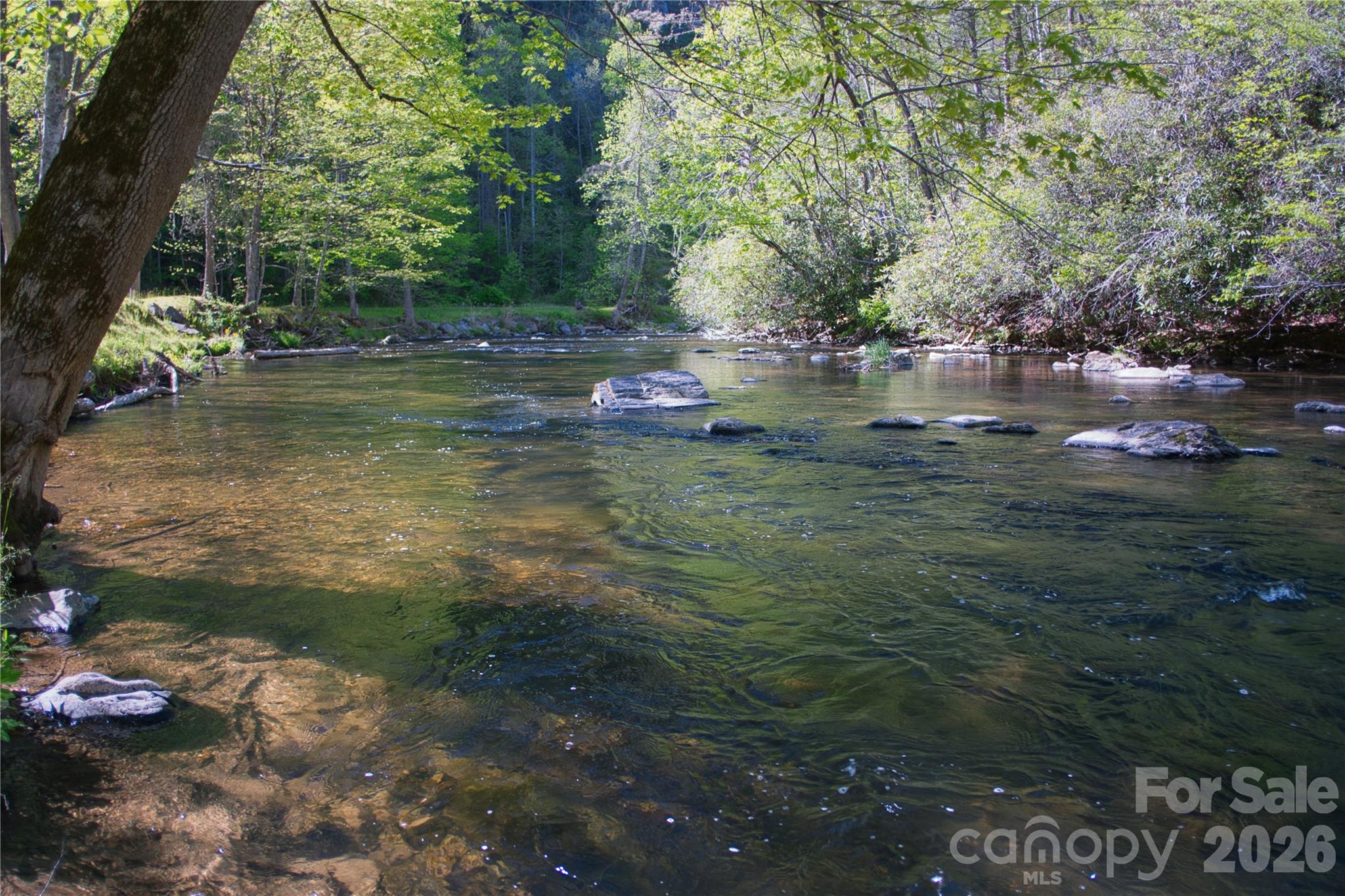 48 Back River Trail Marshall NC 28753