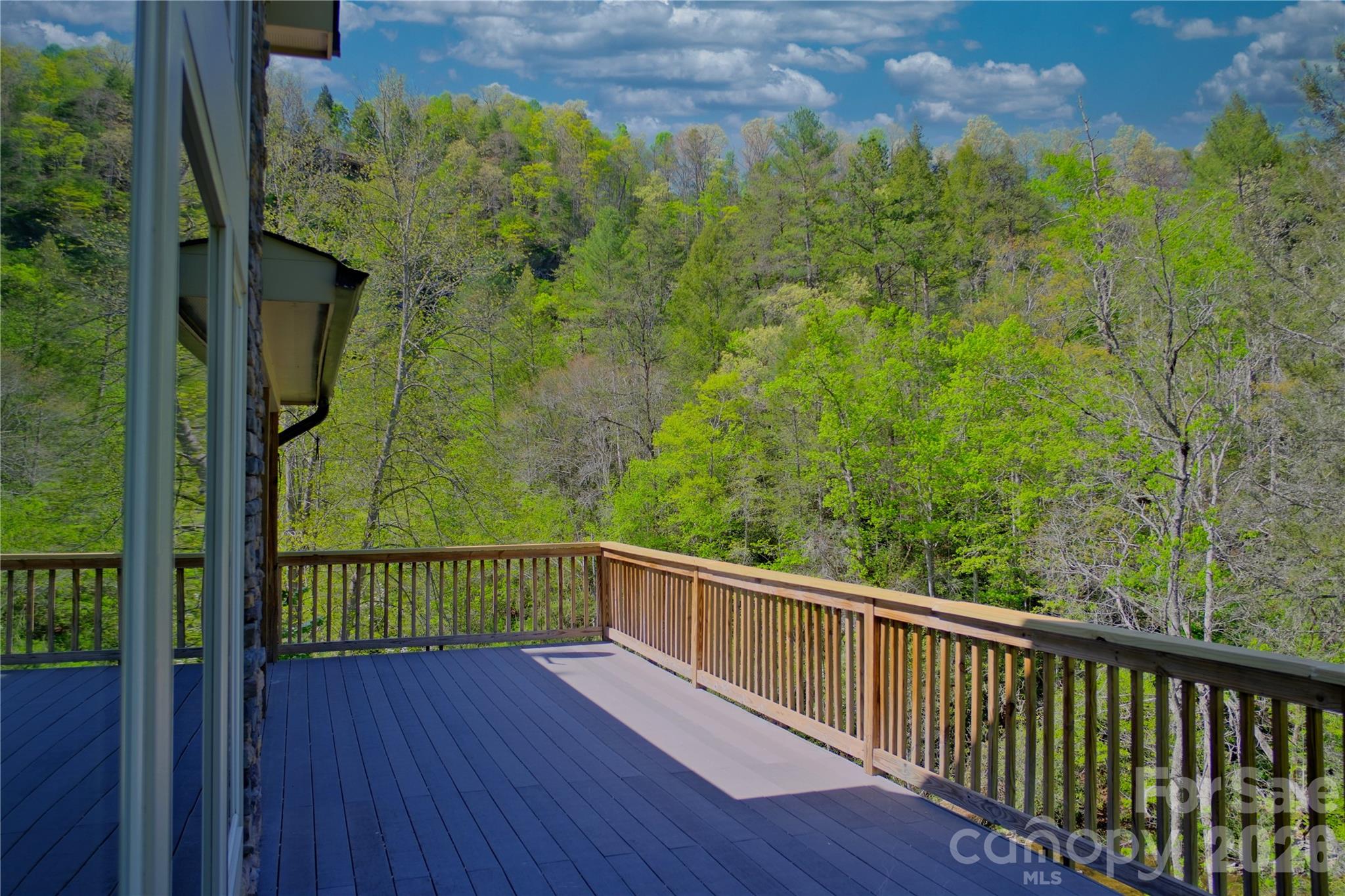 48 Back River Trail Marshall NC 28753
